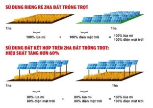 điện mặt trời cho nông nghiệp