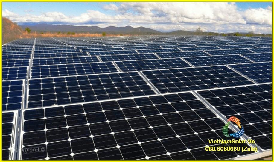 SolarV Poly 60P