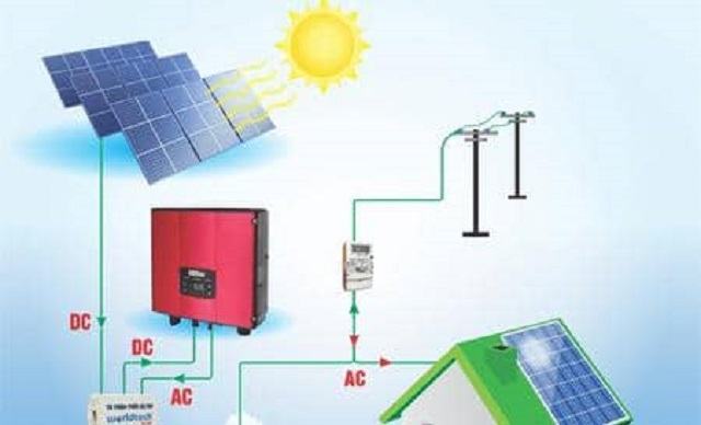 Cung cấp ánh sáng và nước nóng