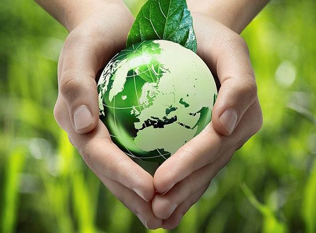 Sử dụng đèn năng lượng mặt trời để bảo vệ môi trường. 