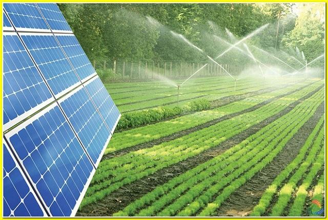 Việc lắp đặt tấm pin năng lượng mặt trời tại Gia Lai vô cùng thuận lợi
