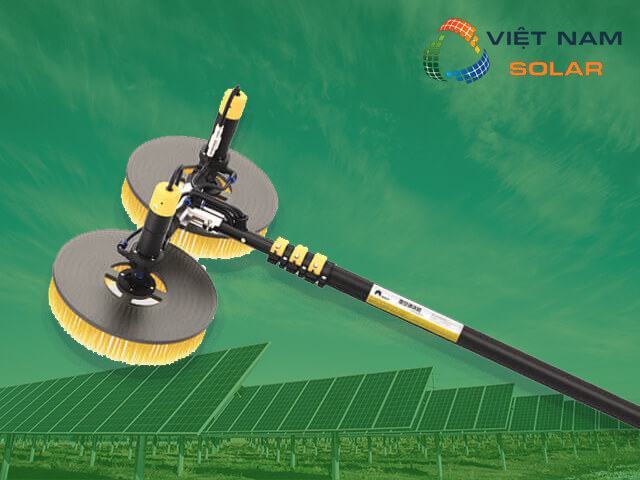 Phân loại cây lau tấm pin năng lượng mặt trời
