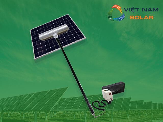 Phân loại cây lau tấm pin năng lượng mặt trời