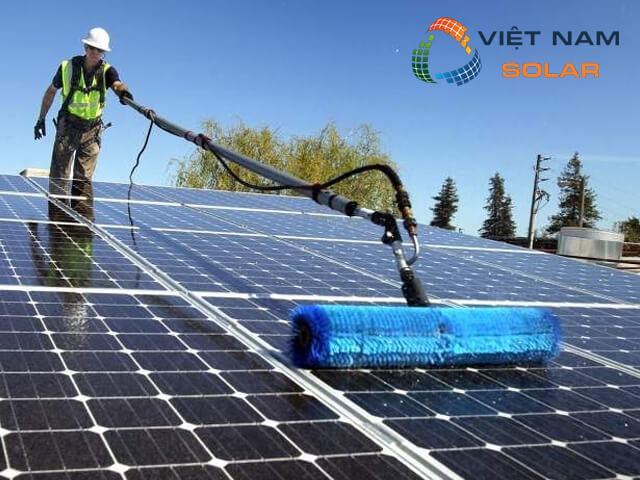 Phân loại cây lau tấm pin năng lượng mặt trời