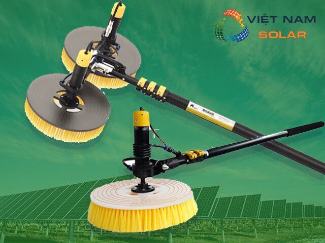 Cây lau tấm pin năng lượng mặt trời là gì