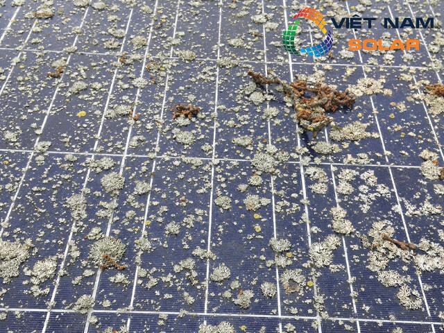 Tại sao đèn năng lượng mặt trời không sáng
