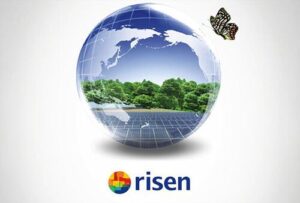Đánh giá pin mặt trời RISEN SOLAR có tốt không?