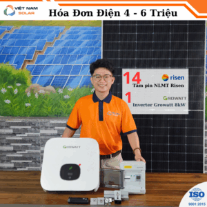 hoa-luoi-8kwp