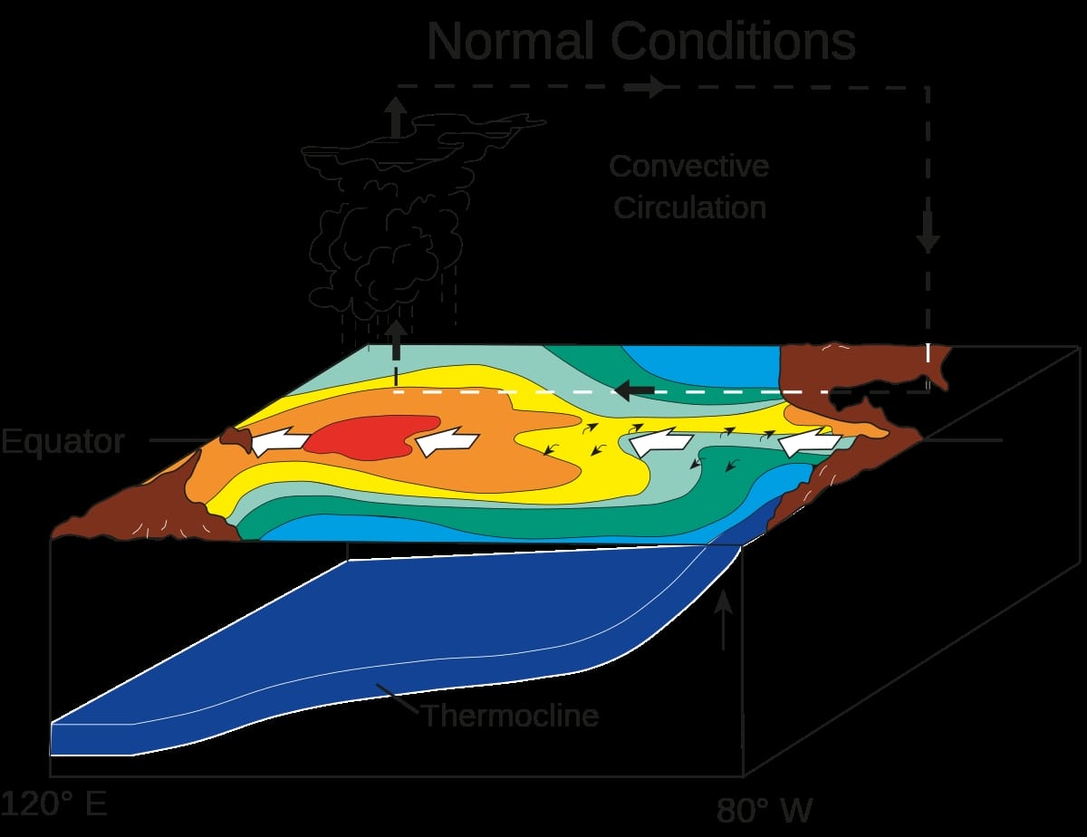 Một vài lợi ích của El Nino mang lại trong đời sống