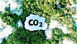 Tiềm năng phát triển thị trường carbon ở Việt Nam