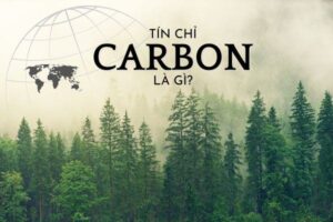 tin-chi-carbon-la-gi