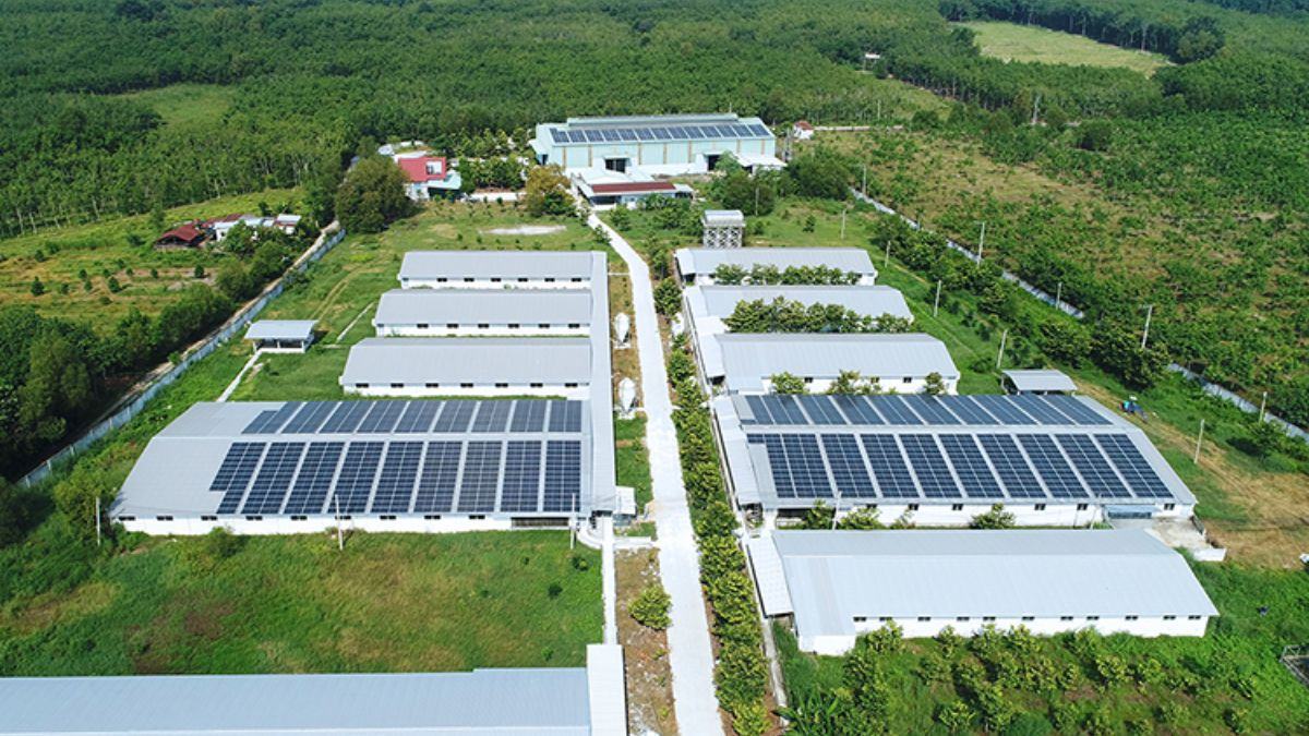 Nguyên lý hoạt động của hệ thống