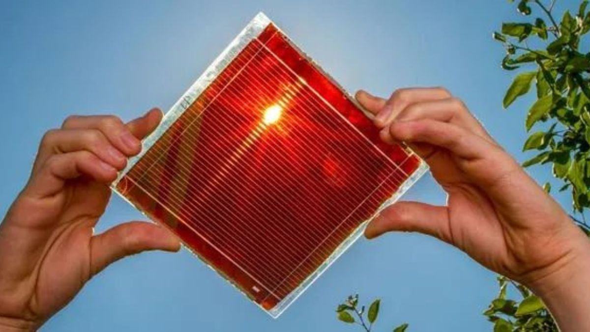 Tấm pin Perovskite