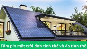 tấm pin mặt trời đơn tinh thể và đa tinh thể