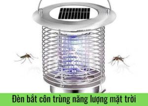 den-bat-con-trung-nang-luong-mat-troi