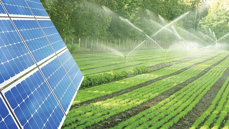 1KW điện mặt trời bao nhiêu tiền?