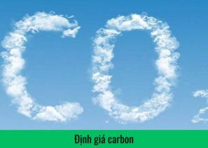Định giá carbon