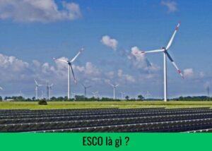 ESCO là gi