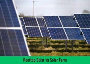 Rooftop Solar và Solar Farm