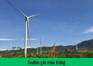 Tuabin gió màu trắng