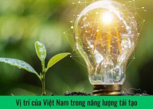 Vị trí của Việt Nam trong năng lượng tái tạo