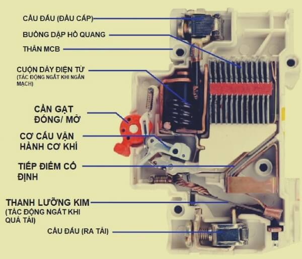 Đặc điểm cấu tạo của CB chống giật