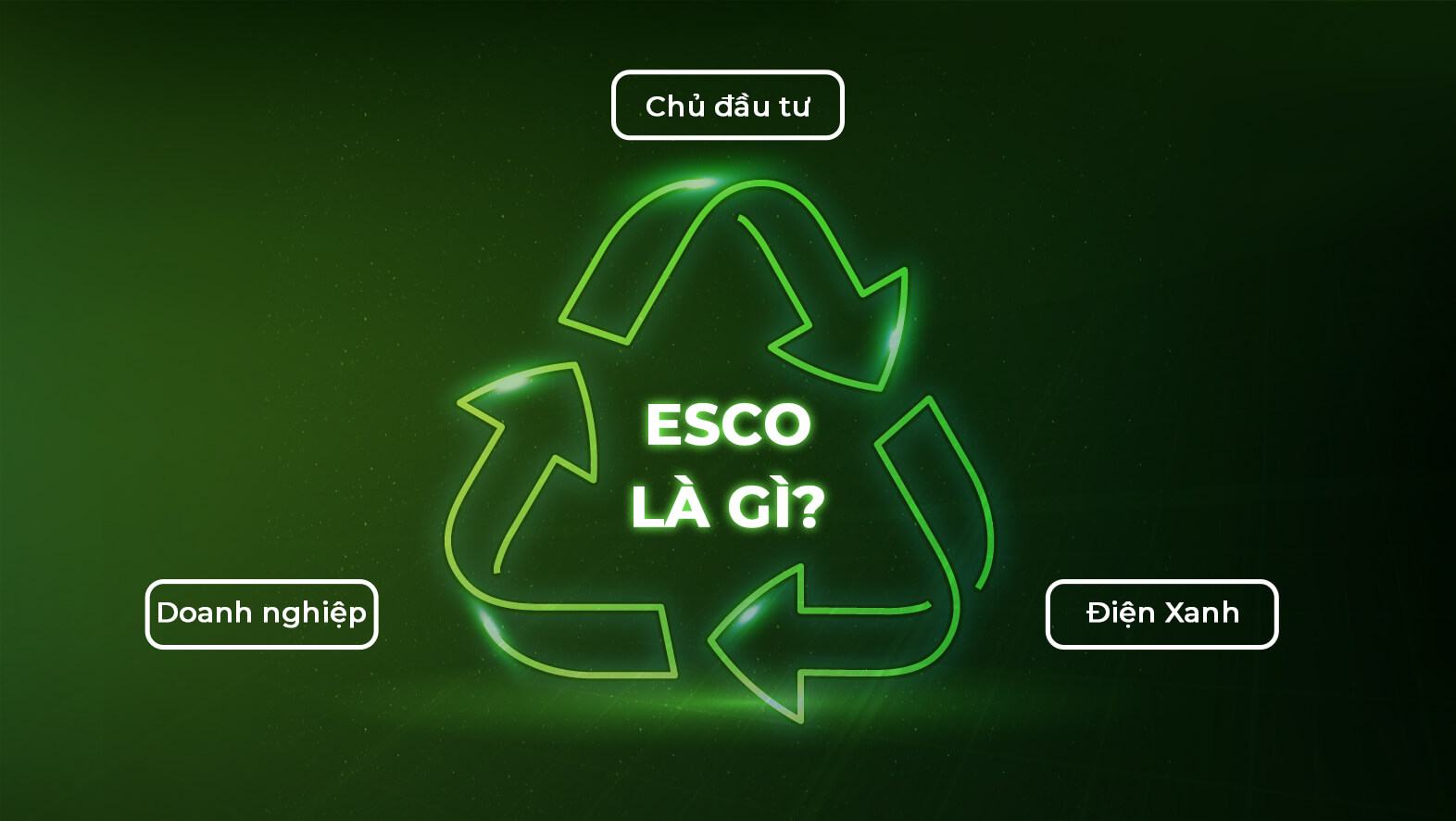 ESCO là gì?