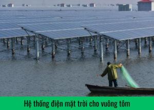 he-thong-dien-mat-troi-cho-vuong-tom