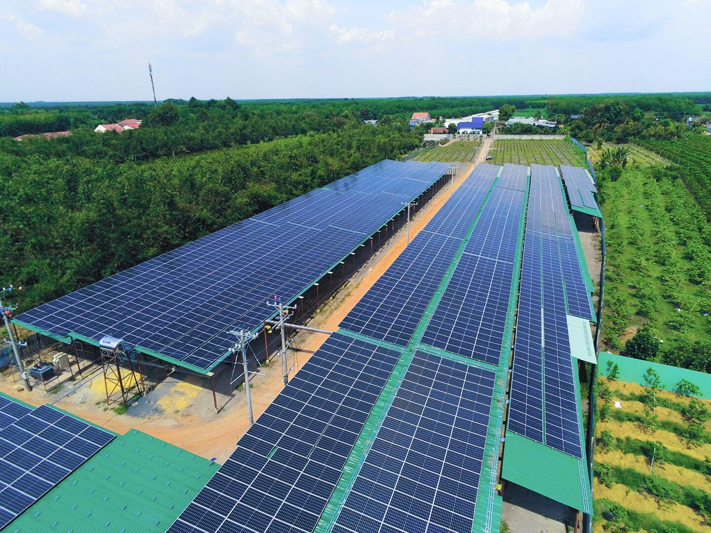 Quang điện hoạt động như thế nào?