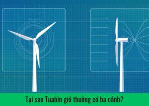 tai-sao-tuabin-gio-thuong-co-ba-canh