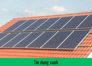 tin-dung-xanh