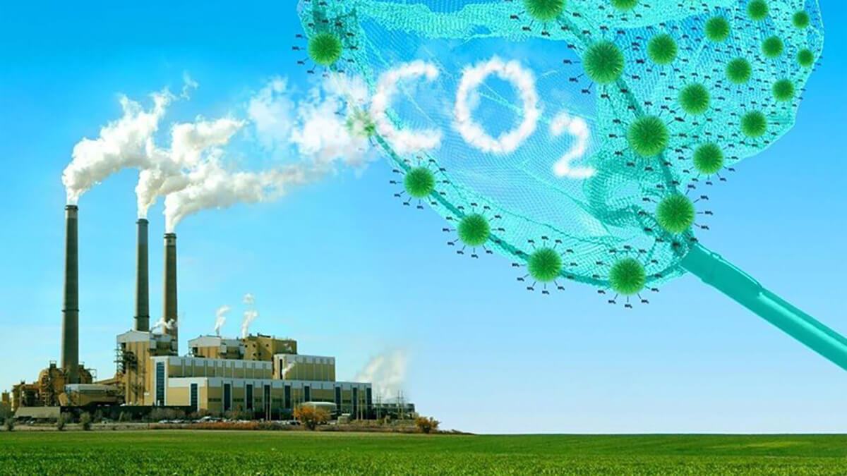 Cập nhật xu hướng mới nhất về thị trường giấy chứng nhận bù đắp carbon