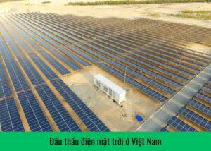 dau-thau-dien-mat-troi-o-viet-nam