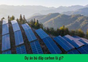 du-an-bu-dap-carbon-la-gi