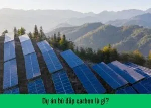 du-an-bu-dap-carbon-la-gi