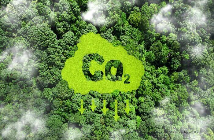 Giấy chứng nhận bù đắp carbon là gì?