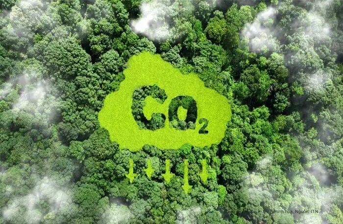 Giấy chứng nhận bù đắp carbon là gì?