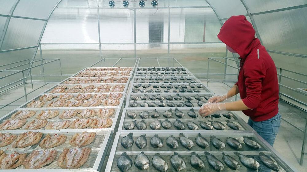 Lợi ích khi sử dụng máy sấy năng lượng mặt trời