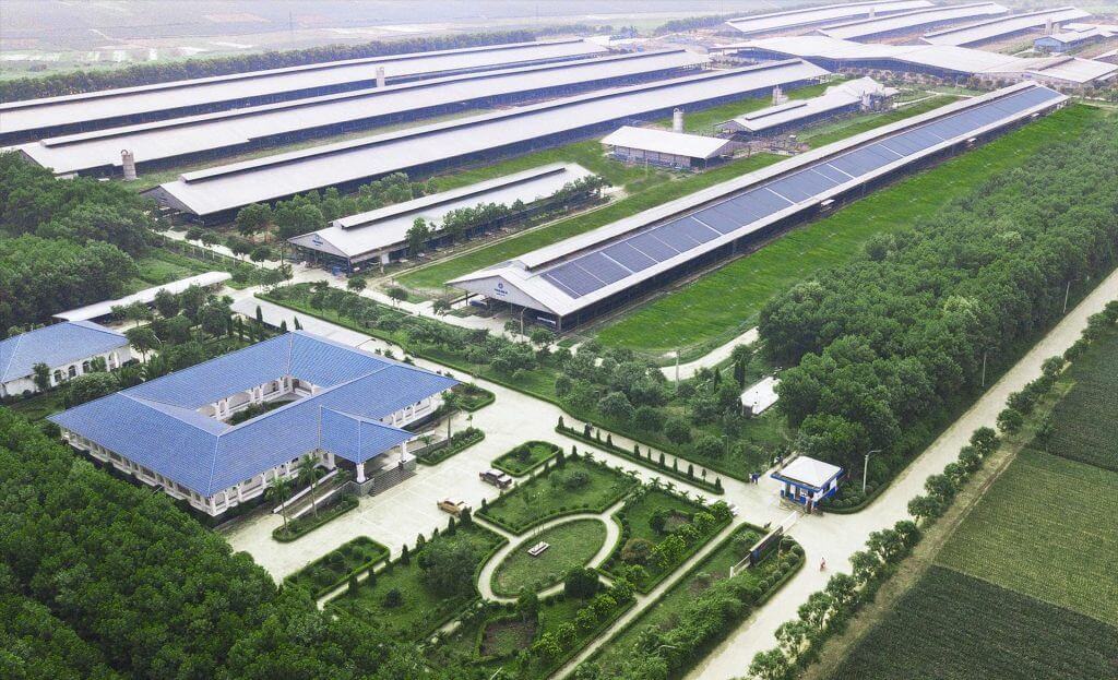 Lưu ý khi lựa chọn dự án bù đắp đắp carbon