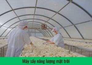 may-say-nang-luong-mat-troi
