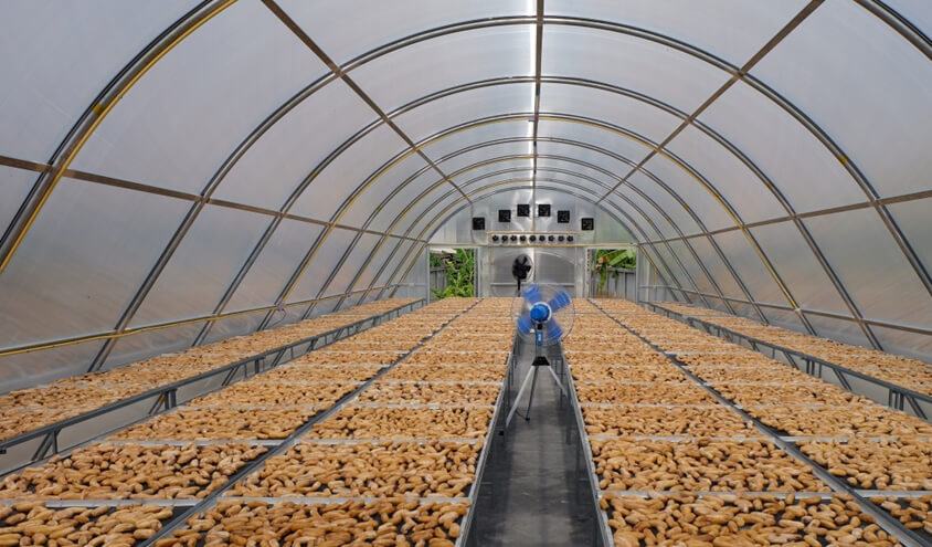 Máy sấy năng lượng mặt trời là gì?