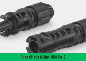 mc4-evo-2