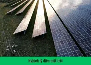 nghich-ly-dien-mat-troi