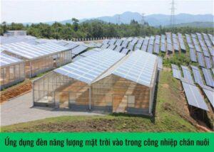 ung-dung-den-nang-luong-mat-troi-vao-trong-cong-nhiep-chan-nuoi